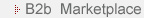 B2B Marketplace